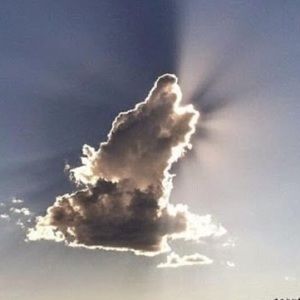 Meet your Posher, Anne